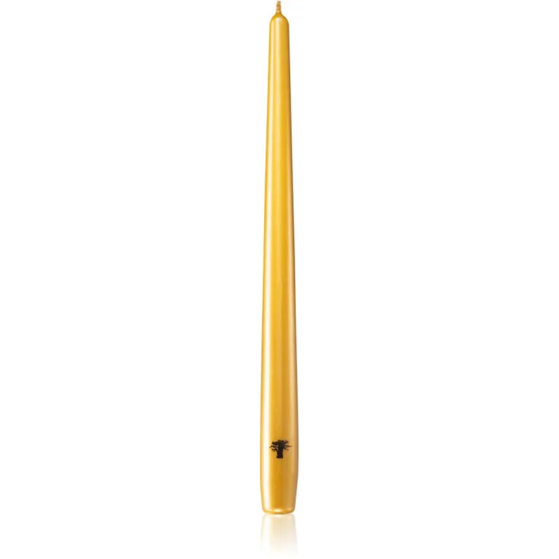 Baobab Collection Candela Gold gyertya 4 db