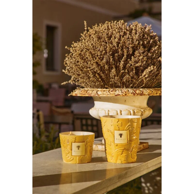 Baobab Collection Paz Dove illatgyertya 1000 g