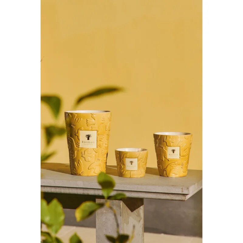 Baobab Collection Paz Dove illatgyertya 1000 g
