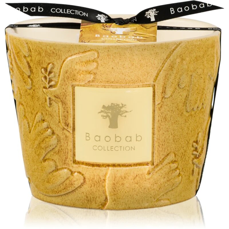 Baobab Collection Paz Dove illatgyertya 500 g