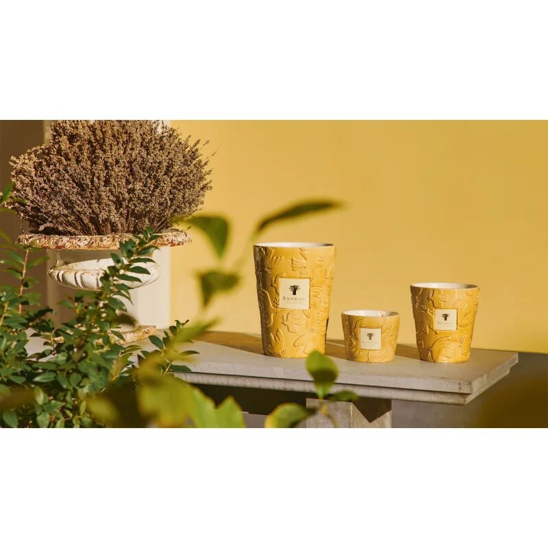 Baobab Collection Paz Dove illatgyertya 500 g