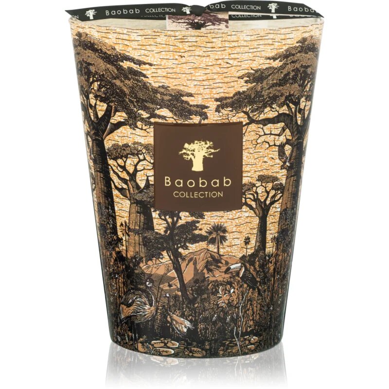Baobab Collection Sacred Trees Mankono illatgyertya 3000 g
