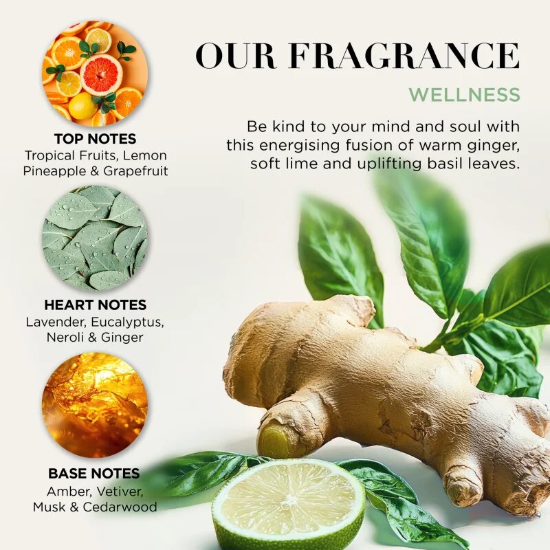 Baylis & Harding Wellness. Energise ajándékszett Ginger Lime & Basil Leaf