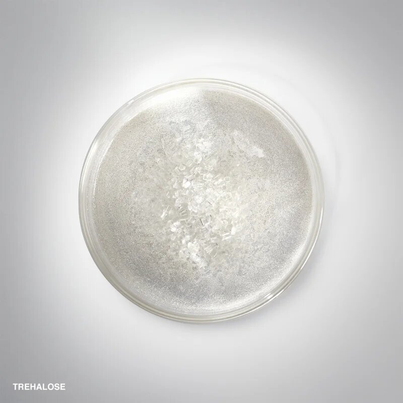 Bobbi Brown Hydrating Face Cream hidratáló krém minden bőrtípusra 50 g