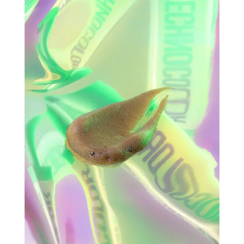 Bondi Sands Technocolor Emerald önbarnító hab árnyalat Golden Olive Bronze 200 ml