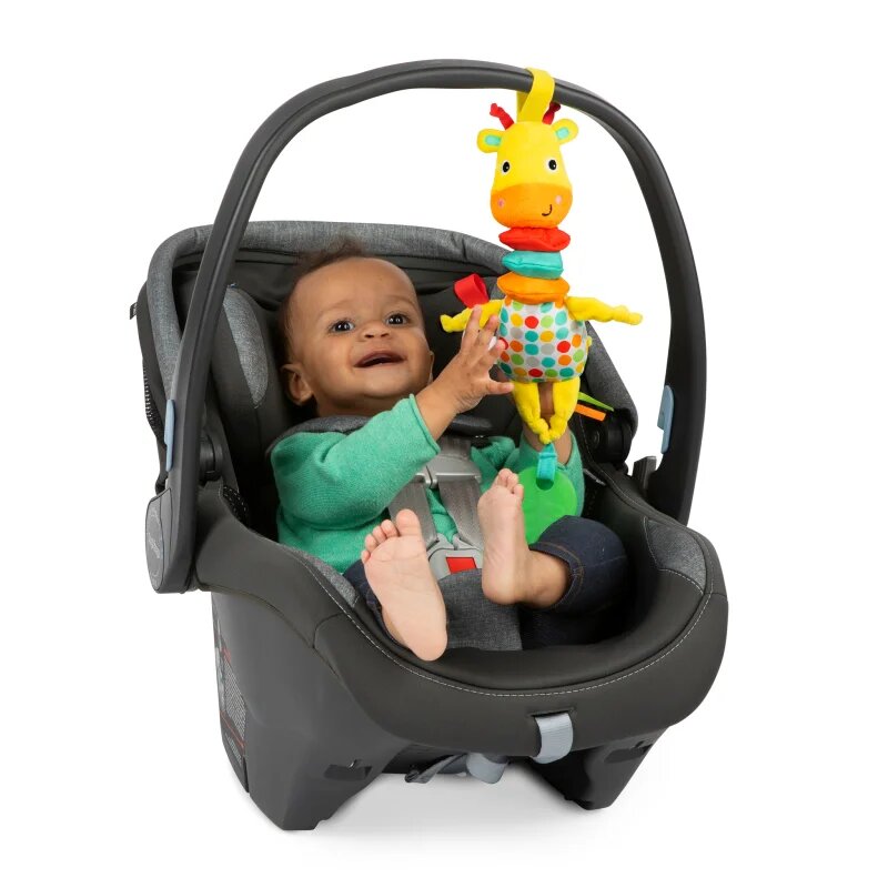 Bright Starts Pull Play & Boogie™ játék dallammal 0m+ 1 db