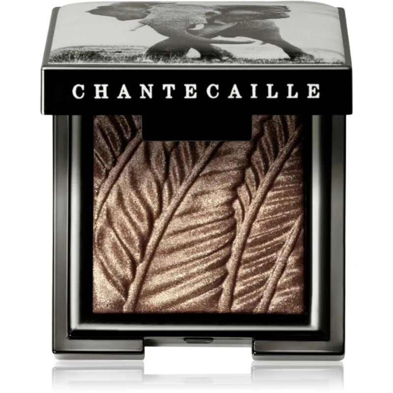 Chantecaille Luminescent Eye Shades gyöngyházas szemhéjfestékek Elephant 2.5 g