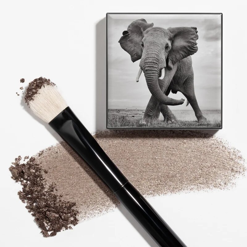 Chantecaille Shade and Sweep Eye Brush lapos szemhéjfesték ecset 1 db