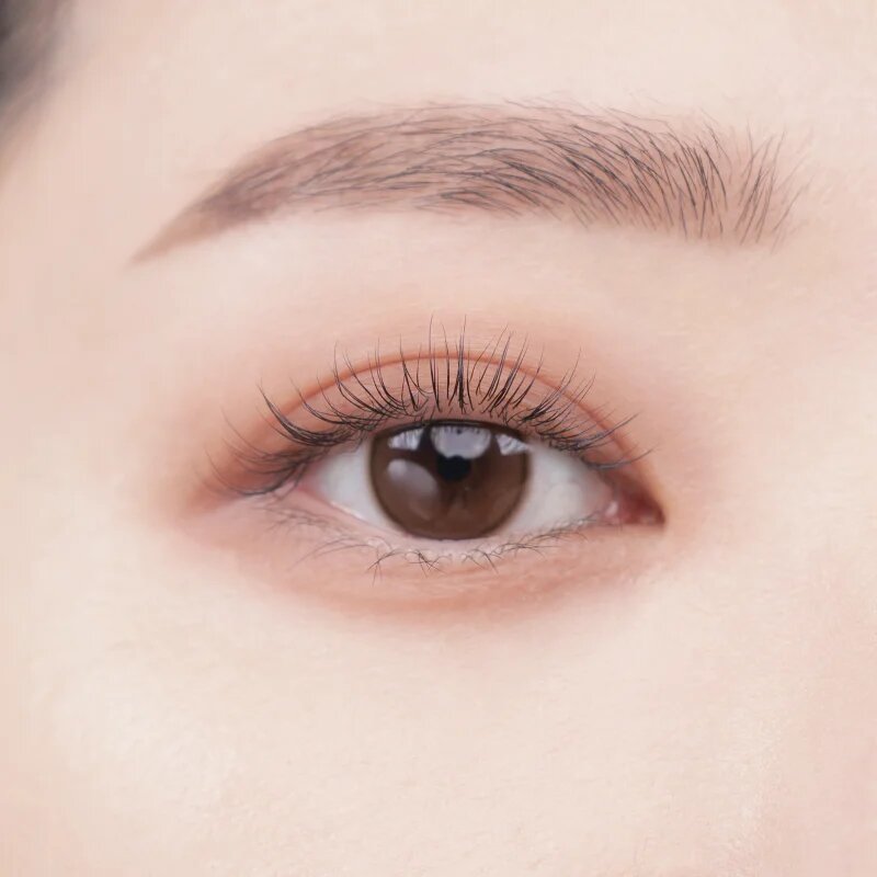 Colorgram Tintin Dory Eyeshadow Palette szemhéjfesték és élénkítő paletta árnyalat 02 Chestnut Dory 4 g