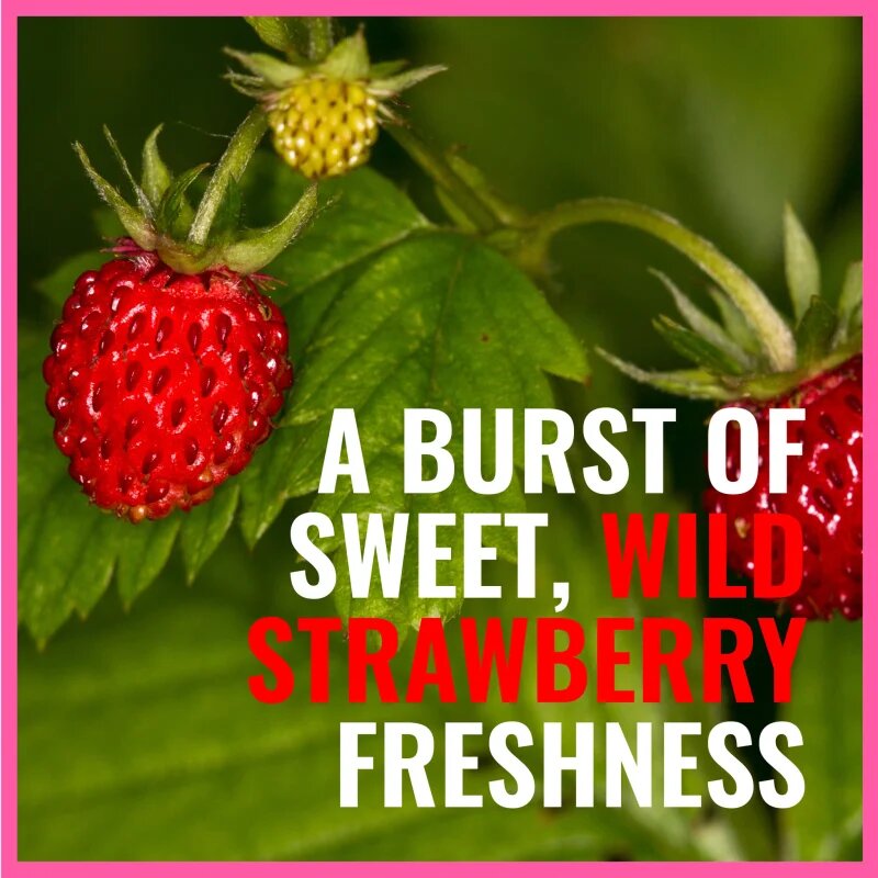 Dermacol Aroma Moment Wild Strawberries habfürdő utazási csomag 2x15 ml