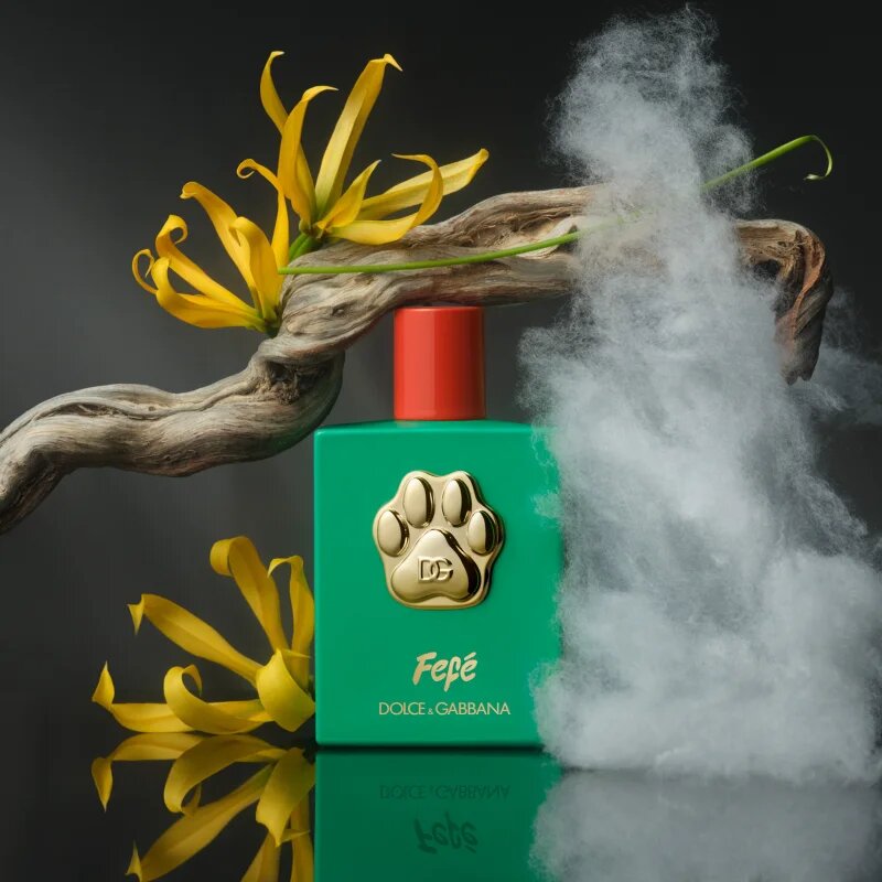 Dolce&Gabbana Fefé fragrance mist for dogs parfümözött spray unisex 100 ml
