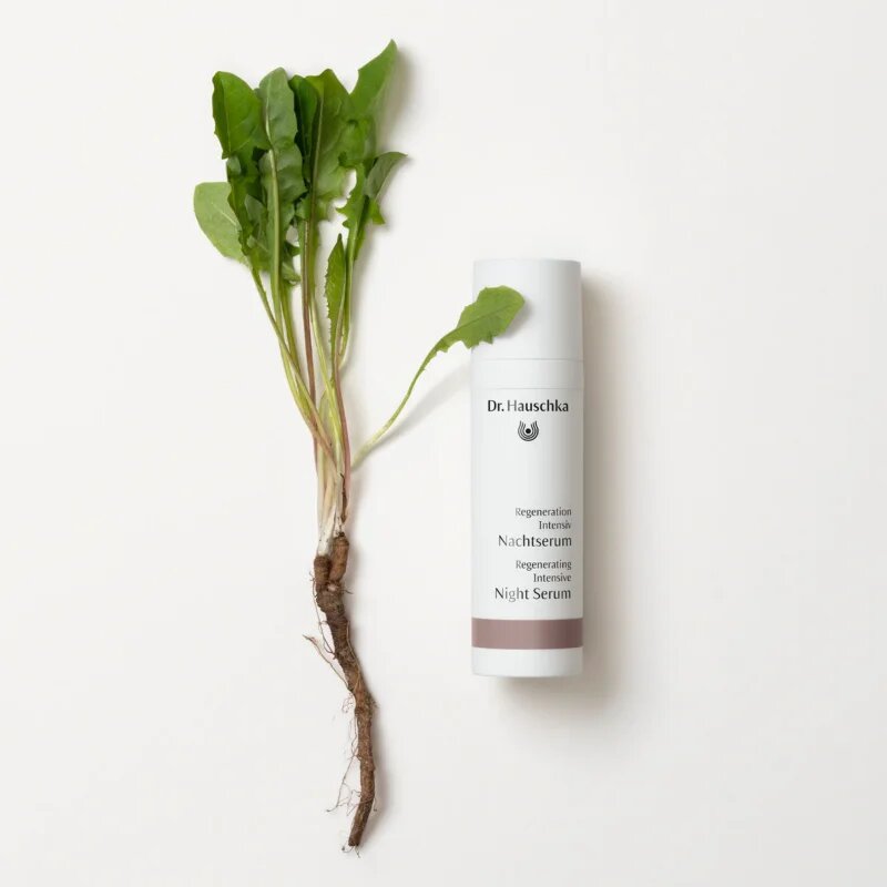 Dr. Hauschka Regeneration Intensive éjszakai szérum a ráncok ellen 30 ml