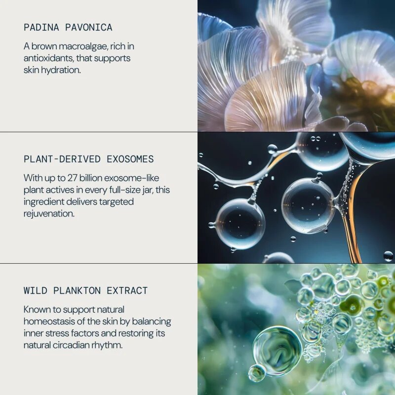 Elemis Dynamic Resurfacing Facial Pads arctisztító peeling párnácskát az élénk és kisimított arcbőrért 60 db