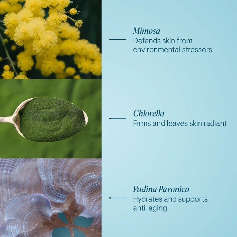 Elemis Pro-Collagen Marine Cream nappali ránctalanító krém 50 ml