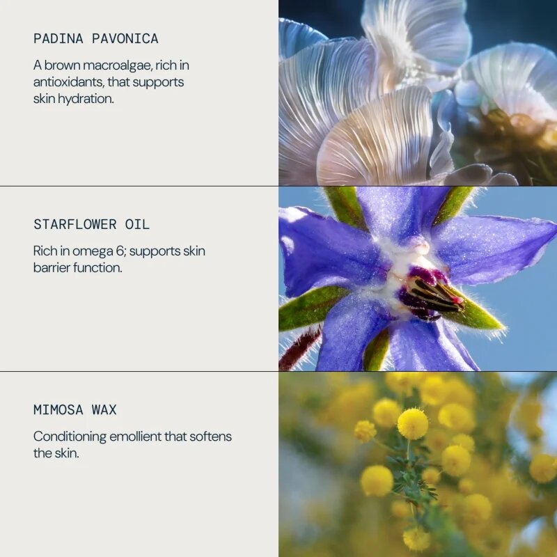 Elemis Pro-Collagen Marine Oil ránctalanító olaj arcra 15 ml