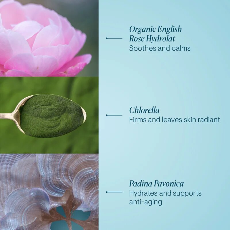 Elemis Pro-Collagen Rose Marine Cream hidratáló géles krém a feszes bőrért 30 ml