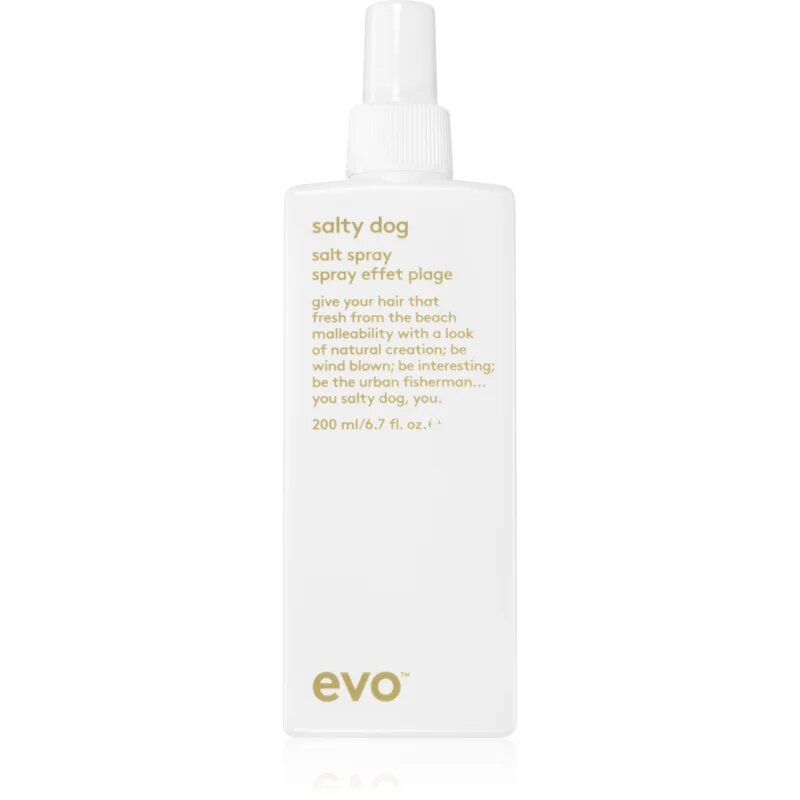 EVO Style Salty Dog sós spray hajra 200 ml