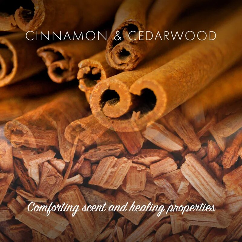 Friendly Soap Natural Soap Cinnamon természetes szappan 7x95 g