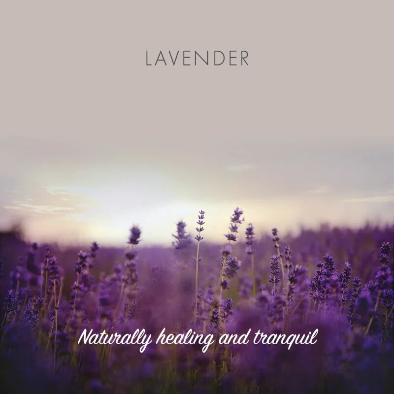 Friendly Soap Natural Soap Lavender természetes szappan 7x95 g