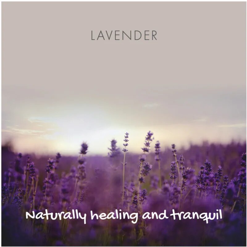 Friendly Soap Natural Soap Lavender természetes szappan 95 g