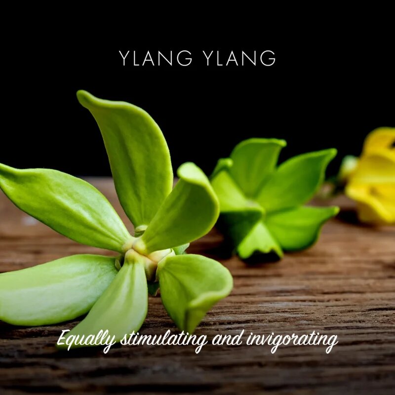 Friendly Soap Natural Soap Ylang Ylang természetes szappan 7x95 g