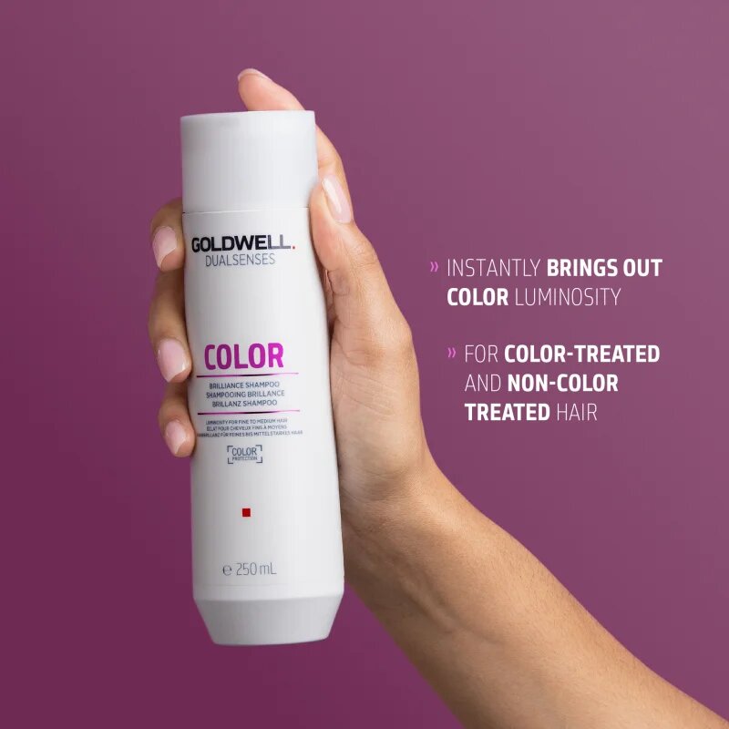 Goldwell Dualsenses Color sampon a festett haj védelmére 250 ml