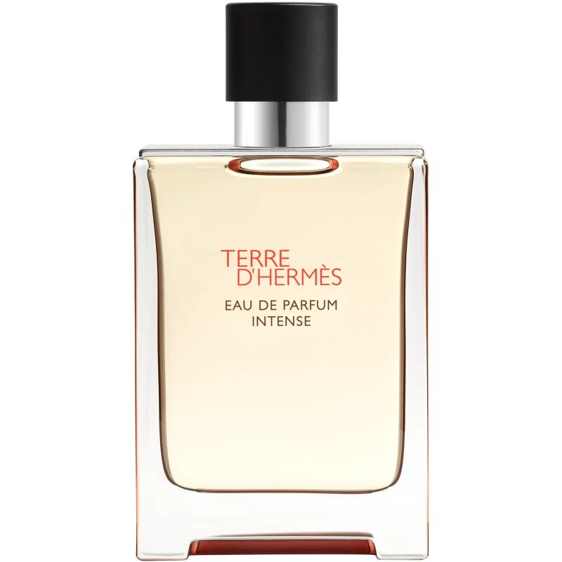 HERMÈS Terre d’Hermès Eau de Parfum Intense Eau de Parfum intense uraknak 100 ml