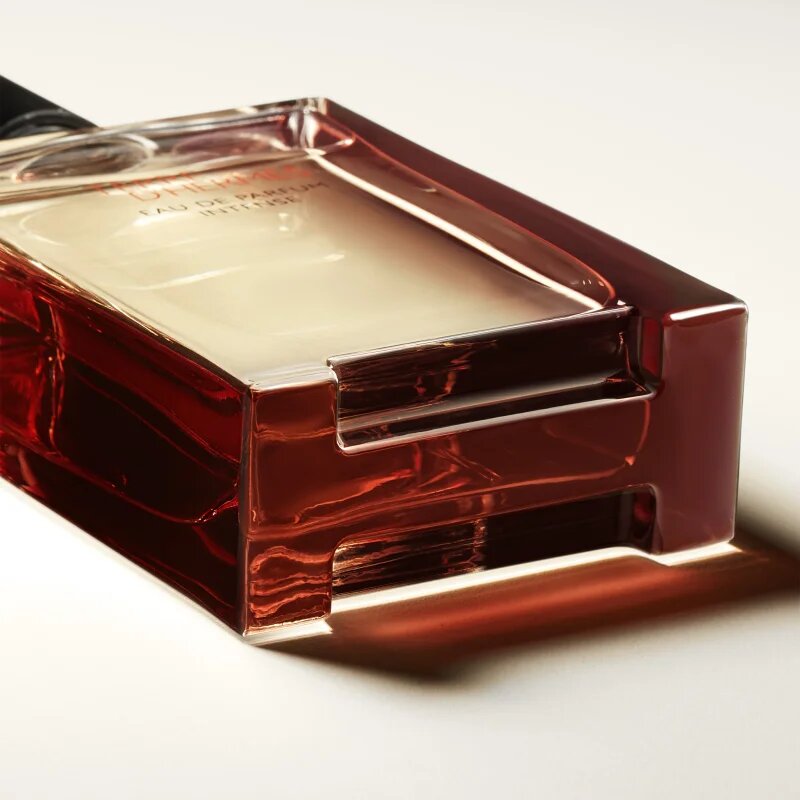 HERMÈS Terre d’Hermès Eau de Parfum Intense Eau de Parfum intense uraknak 100 ml