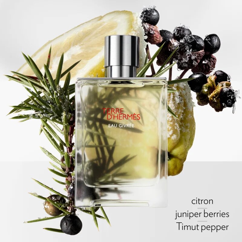 HERMÈS Terre d’Hermès Eau Givrée Eau de Parfum utántölthető uraknak 175 ml