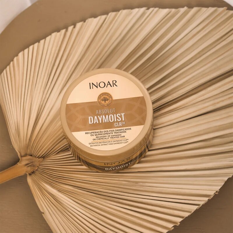 INOAR Absolut Daymoist CLR™ intenzív hidratáló maszk száraz és festett hajra 250 g
