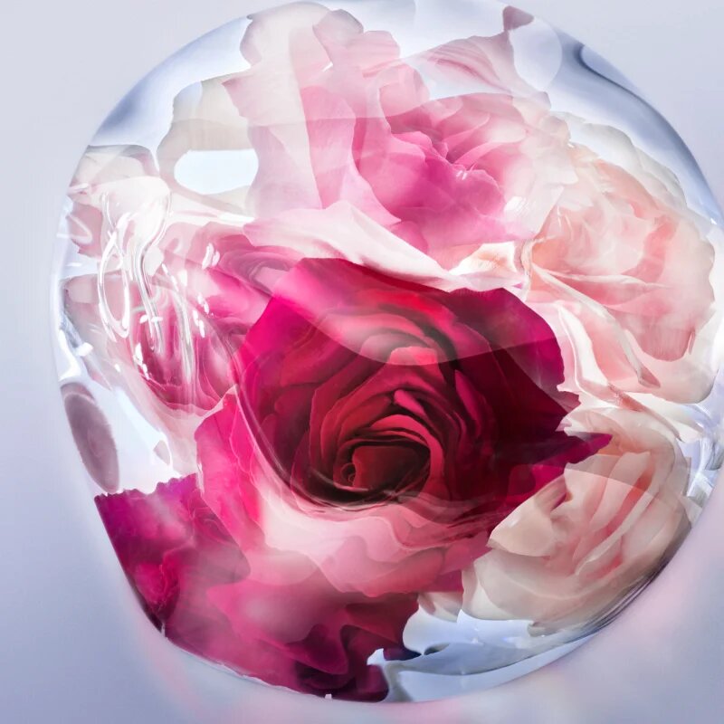 Lancôme La Vie Est Belle Rose Extraordinaire Eau de Parfum hölgyeknek 30 ml