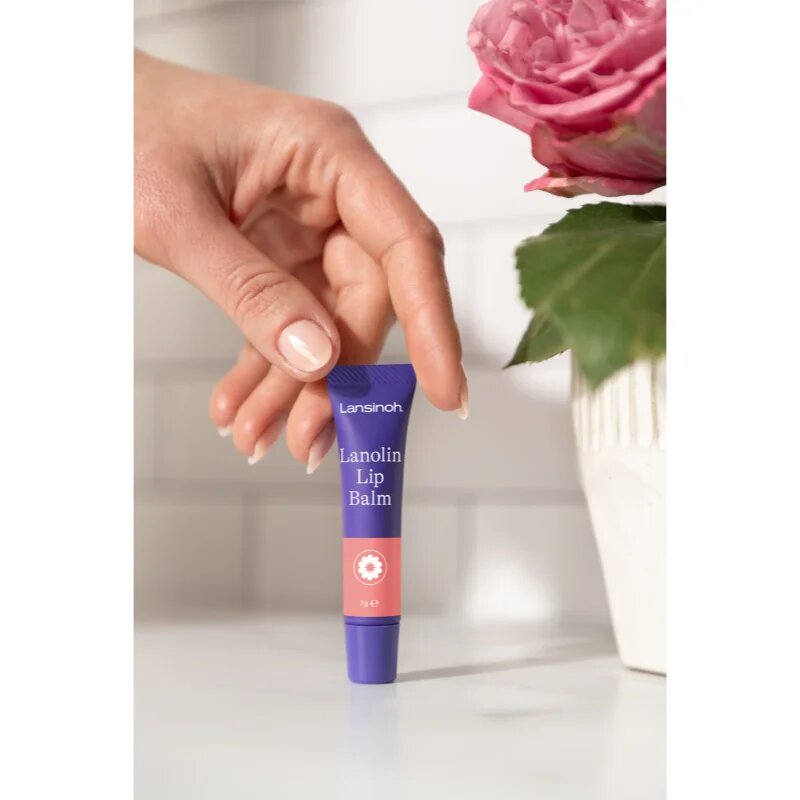 Lansinoh Lanolin Lip Balm lanolinos ajakbalzsam 7 g