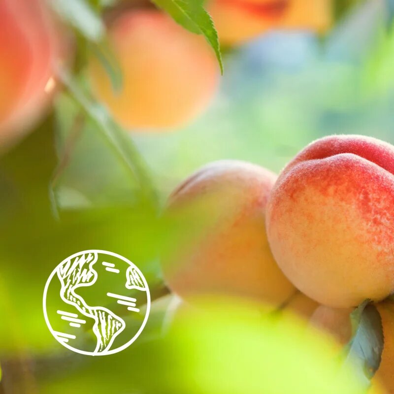 Le Petit Marseillais White Peach Bio & Nectarine Bio gyengéd tusfürdő gél 250 ml