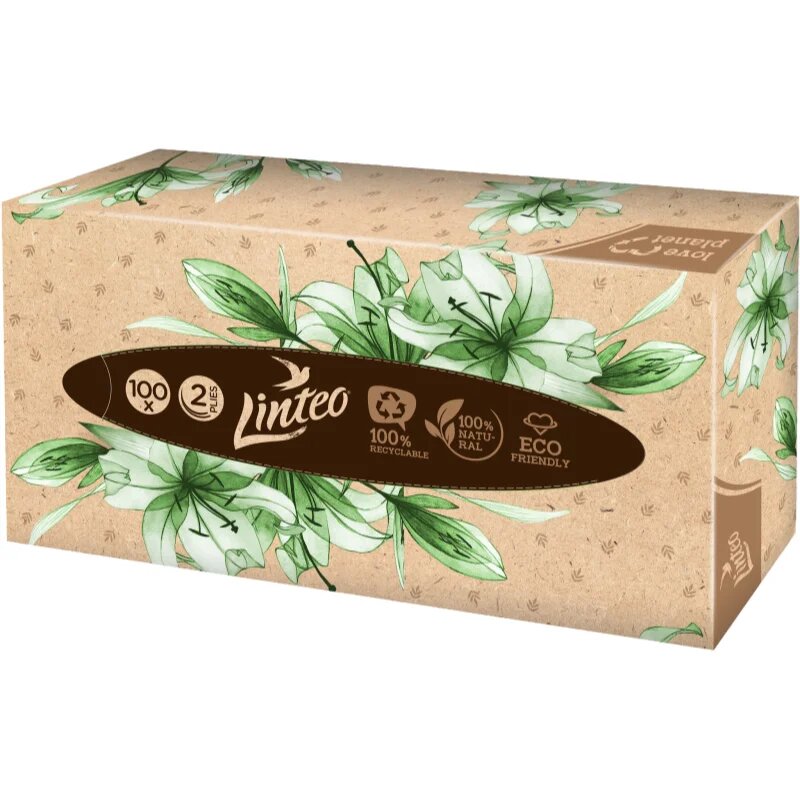 Linteo Paper Tissues Two-ply Paper 100 pcs per box papírzsebkendő 100 db