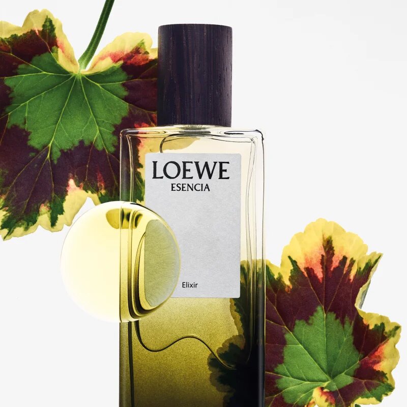 Loewe Esencia Elixir parfüm uraknak 50 ml