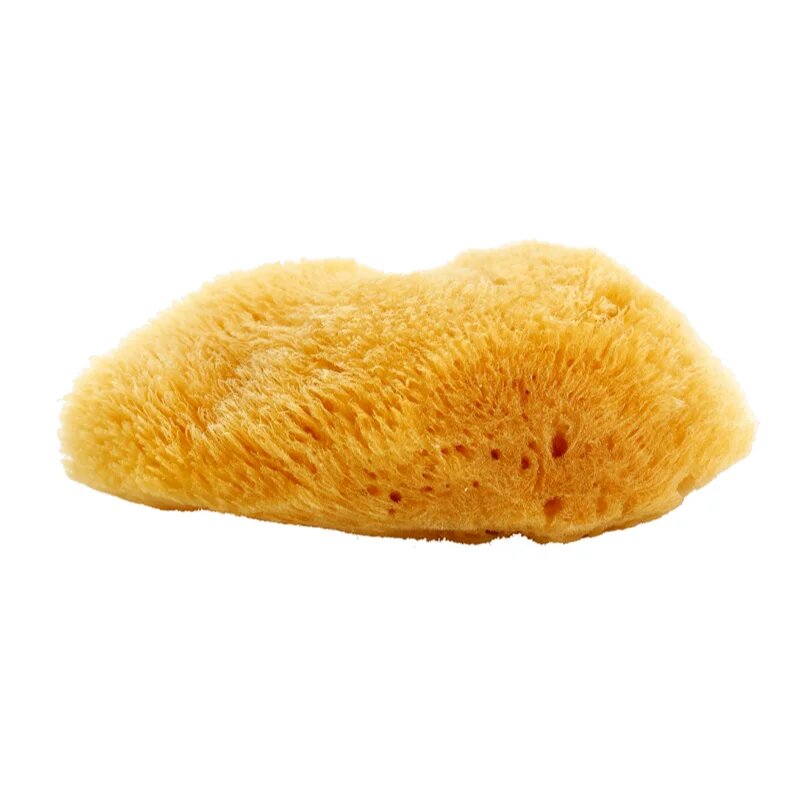 Magnum Natural karib-tengeri szivacs 10- 12 cm