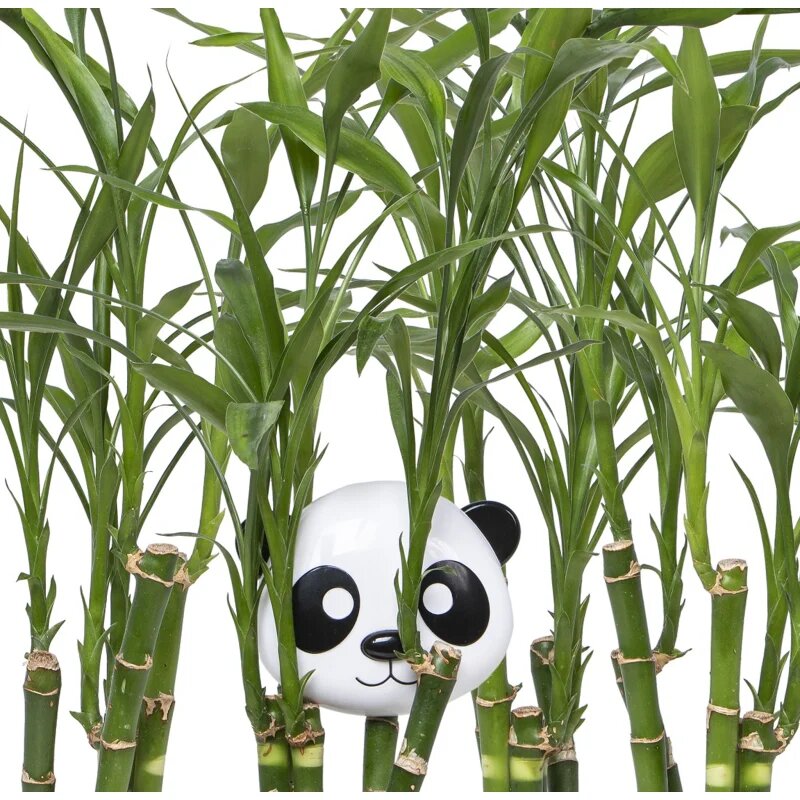 Melii Snack Container uzsonnás doboz Panda 232 ml