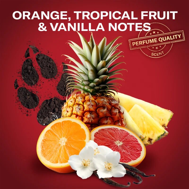 Old Spice Wolfthorn Gamer ajándékszett uraknak