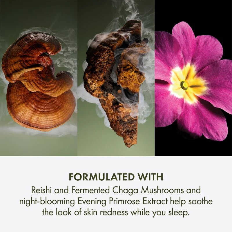 Origins Dr. Andrew Weil for ™ Mega-Mushroom Overnight Recovery Cream nyugtató és hidratáló maszk éjszakára 50 ml