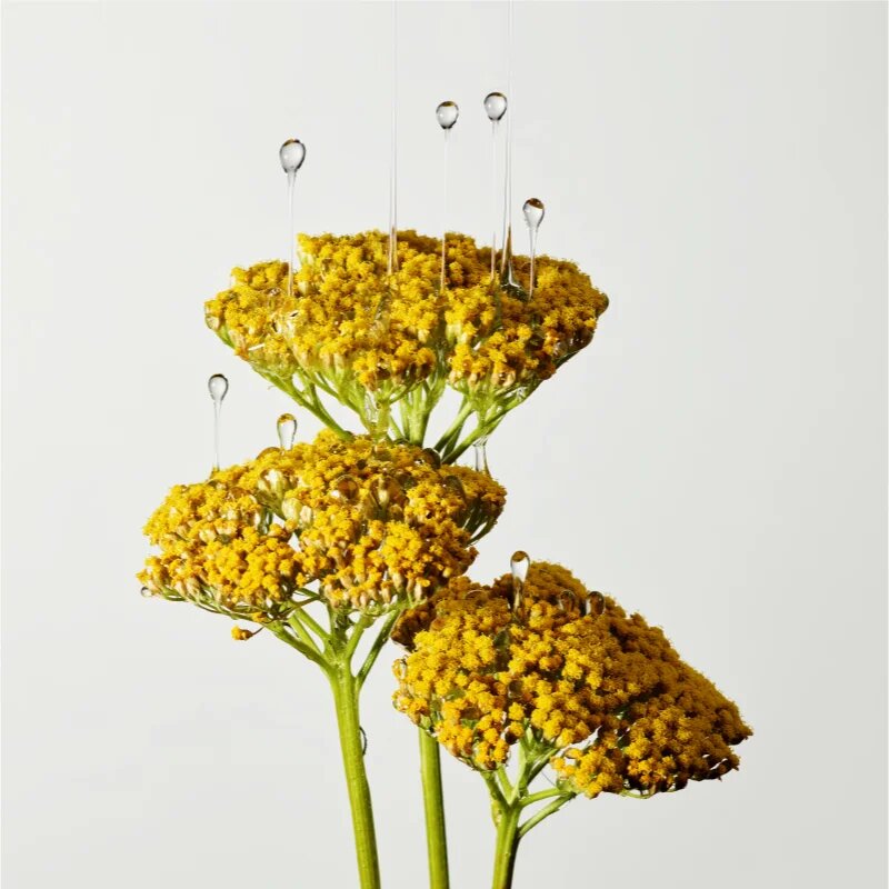 Origins Plantscription™ Multi-Powered Youth Serum fiatalító arcszérum 50 ml