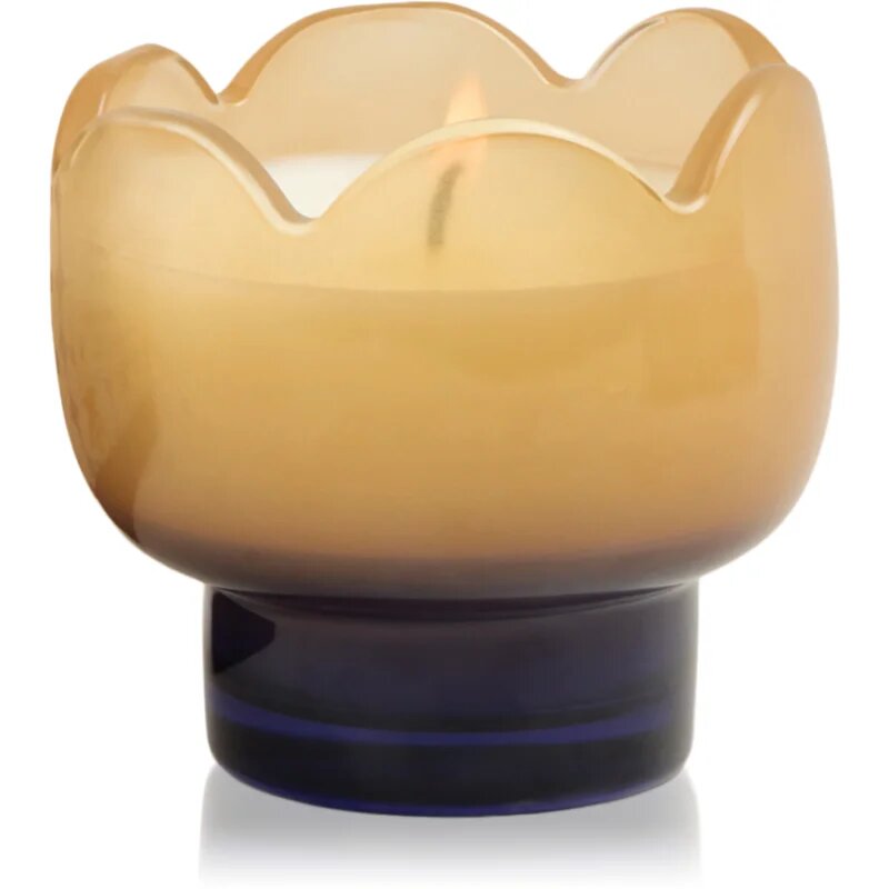 Paddywax Tulip Garden & Grove illatgyertya 155 g