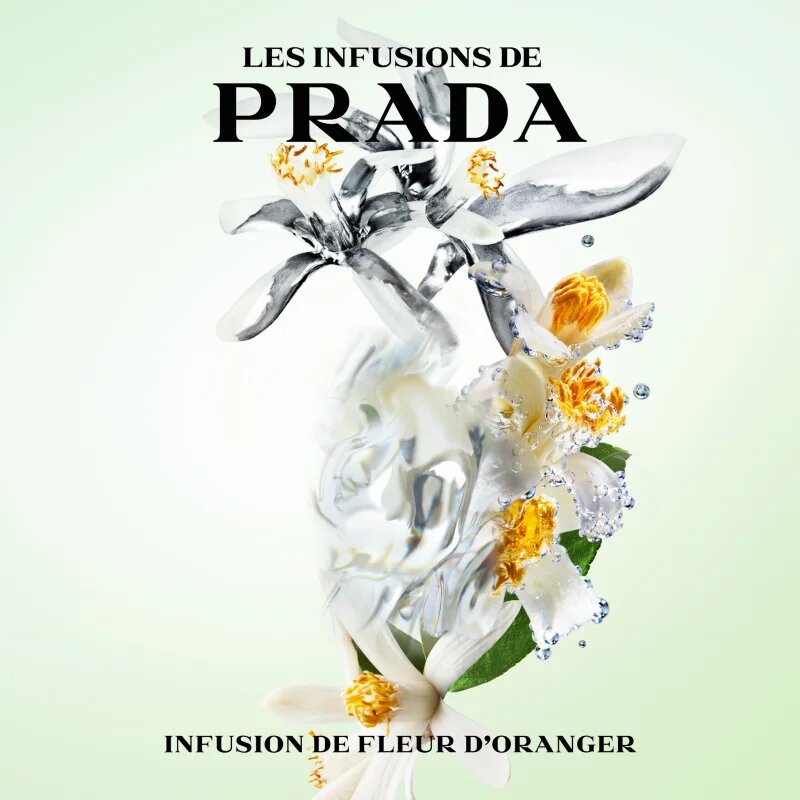 Prada Les Infusions: Infusion Fleur d'Oranger Eau de Parfum unisex 100 ml