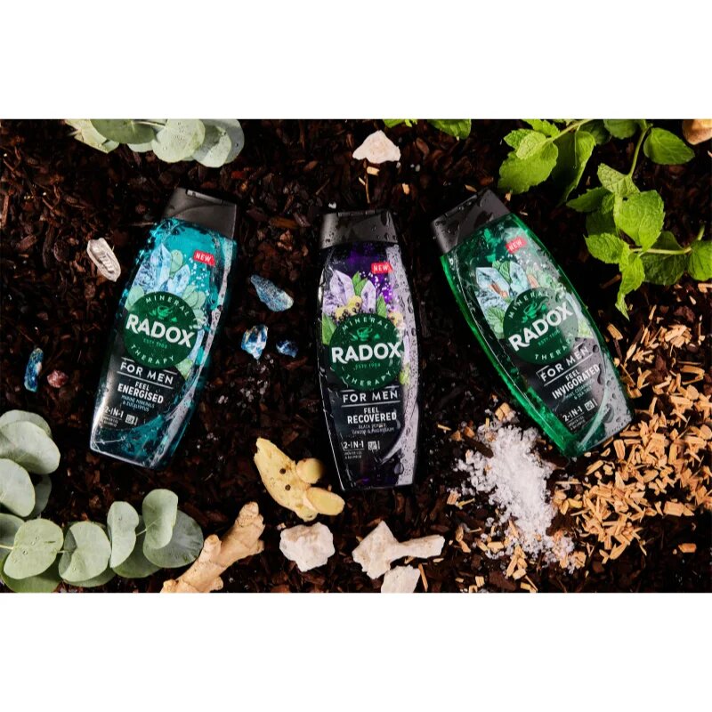 Radox Feel Energised fürdőgél férfiaknak 2 az 1-ben 450 ml