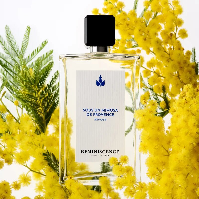 Reminiscence Sous un Mimosa de Provence Eau de Toilette intense unisex 100 ml