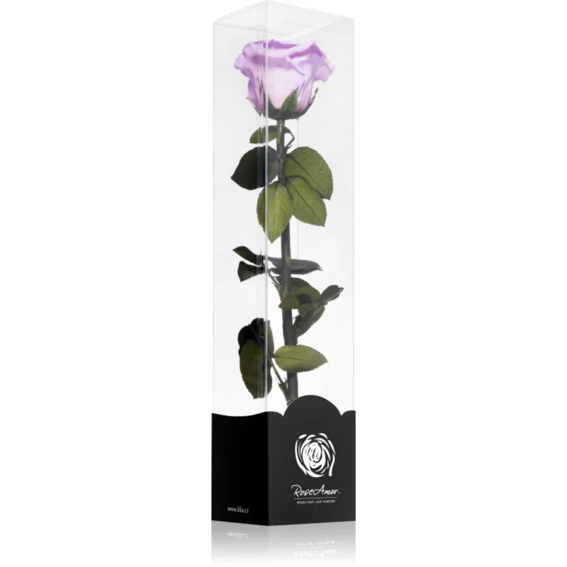 RoseAmor Lila örökrózsa szárral 30 cm 1 db