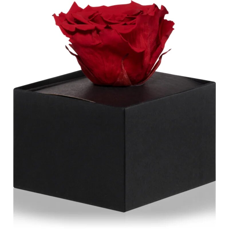 RoseAmor Red örökrózsa dobozban 1 db