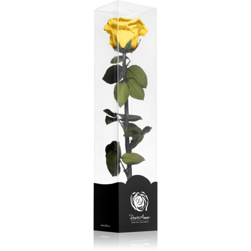 RoseAmor Yellow örökrózsa szárral 30 cm 1 db