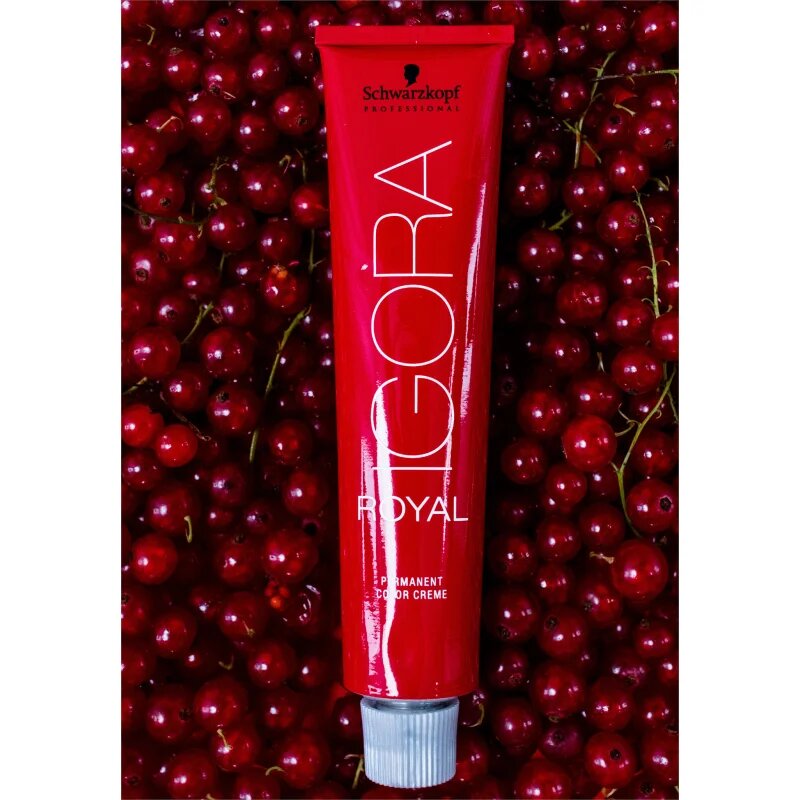 Schwarzkopf Professional IGORA Royal hajfesték árnyalat 3-68 60 ml