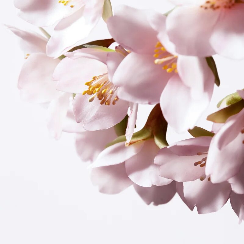 Shiseido White Lucent Illuminating Micro-Spot Serum élénkítő korrekciós szérum a pigmentfoltok ellen 30 ml