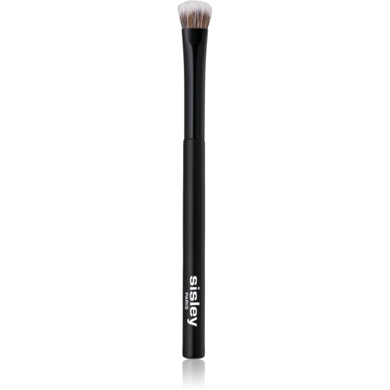 Sisley Accessories Phyto-Lip Delight ecset az alap szemhéjfestékekre 1 db